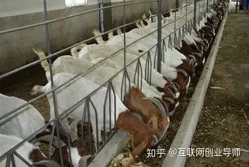 十大未来赚钱行业是？（未来十大最赚钱的行业）