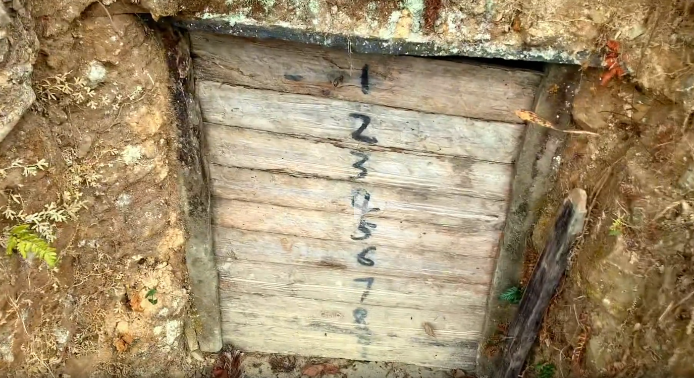 去地窖里取红薯，都发芽要坏了|米娜娜