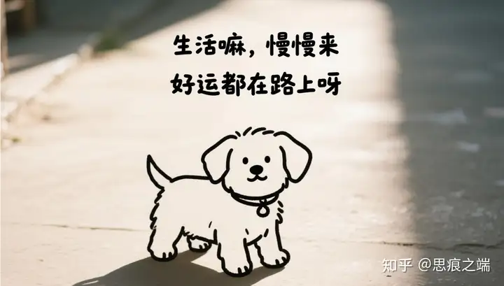 在长期的挫折中，如何避免陷入习得性无助的心理状态？缩略图