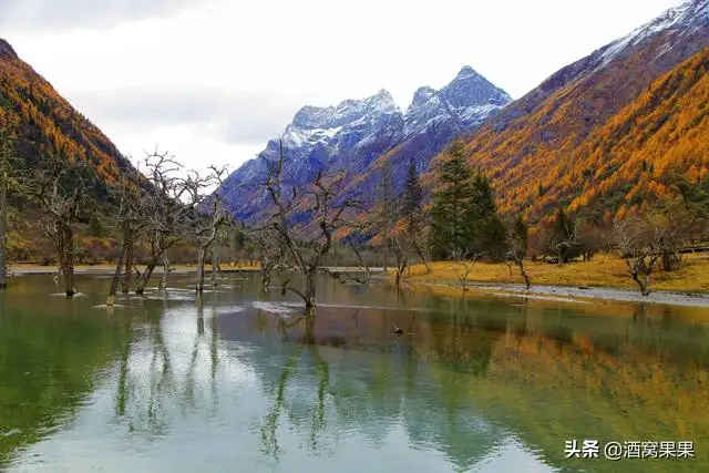 四川旅游必去十大景点推荐（四川值得去的地方有哪些）