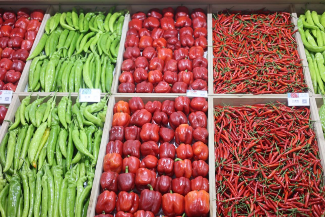 “AI二氧化碳农业系统”助力大棚农业高质量发展重塑绿色经济(图10)