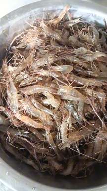 老杨测评鉴货 的想法: 绝对是好东西,大马虾08 | 绝对是好东西,大马