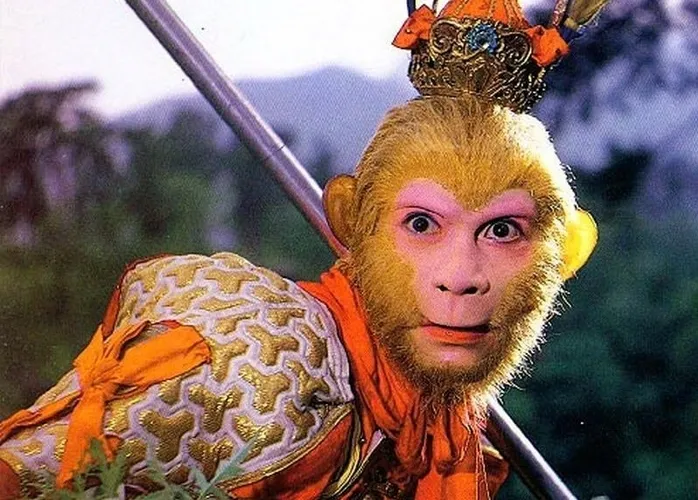 为什么《西游记》中没有女的喜欢孙悟空?