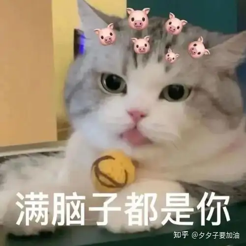 社区工作者职业怎么样？有前途吗？很迷茫 刚进社区一个多月 感觉像过了好几年 心累 哭了好多次？（齐鲁民生社区）社会工作者工资一般多少，