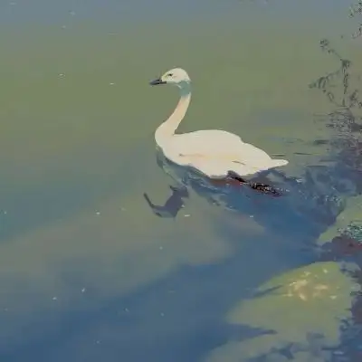 有什么美到极致的绿色壁纸？(绿色壁纸好看卡通动漫)