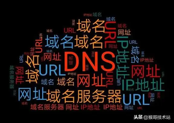 域名的基础知识有哪些（网址，URL，域名，IP地址，DNS，域名解析）