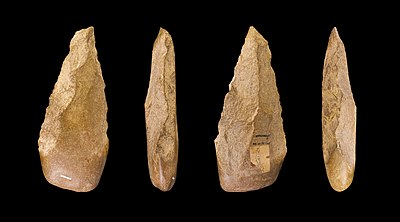 如果原始人进化的过程中，石头被用光了，是不是他们就结束了石器时代？