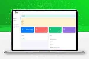 网站压力测试源码，支持卡密充值