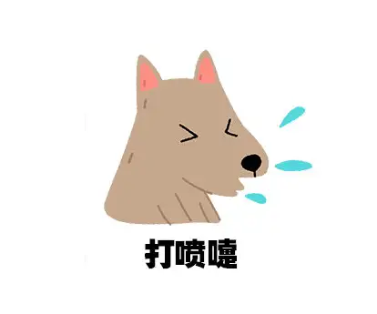 狗狗日常感冒怎么应对
