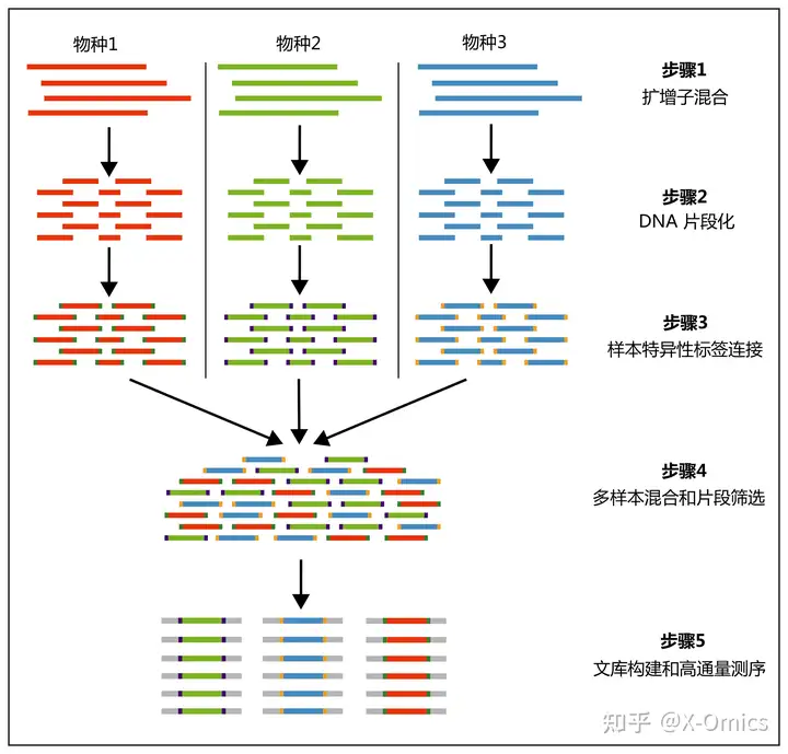 什么是扩增子及其应用方向有哪些? - 知乎