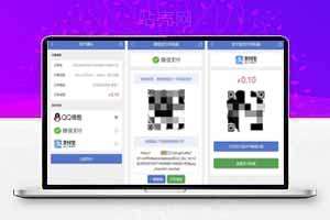 Discuz论坛支付接口插件