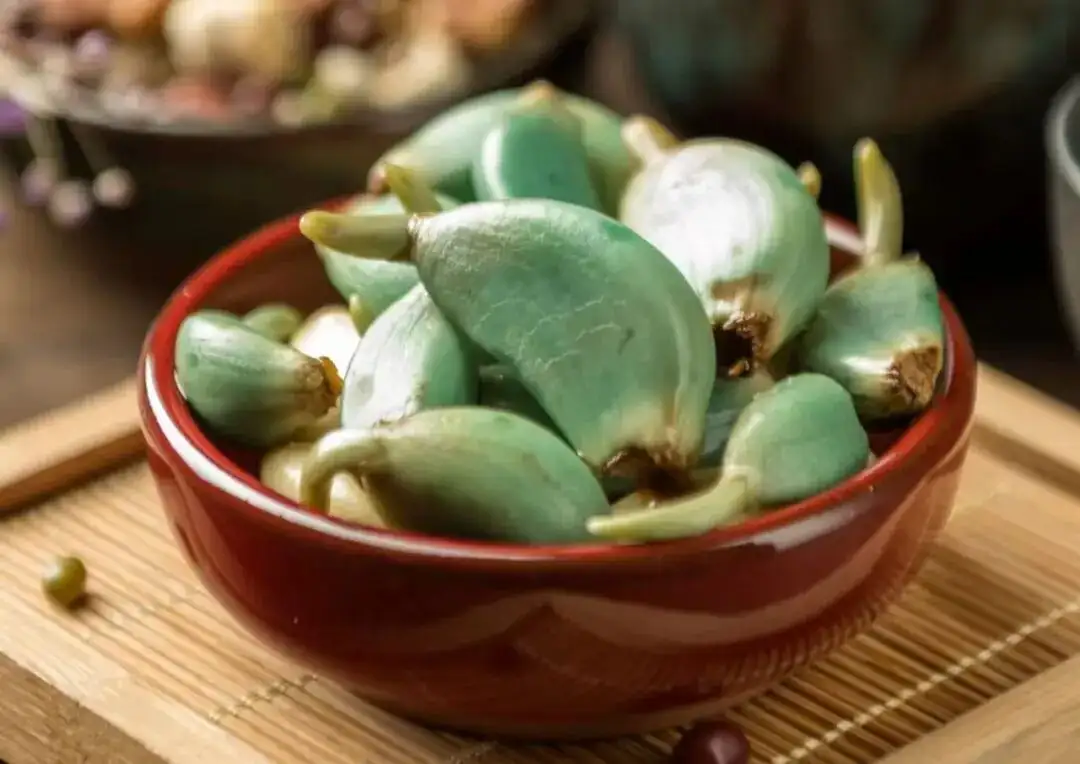 腊八蒜在腌制过程中，蒜瓣会由白色逐渐变为翠绿色，腊八蒜为什么会变绿？