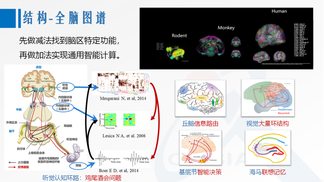 第三代神经网络模型：面向AI应用的脉冲神经网络