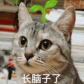 文档秒变演讲视频还带配音！开源Agent商业报告/学术论文接近人类水平