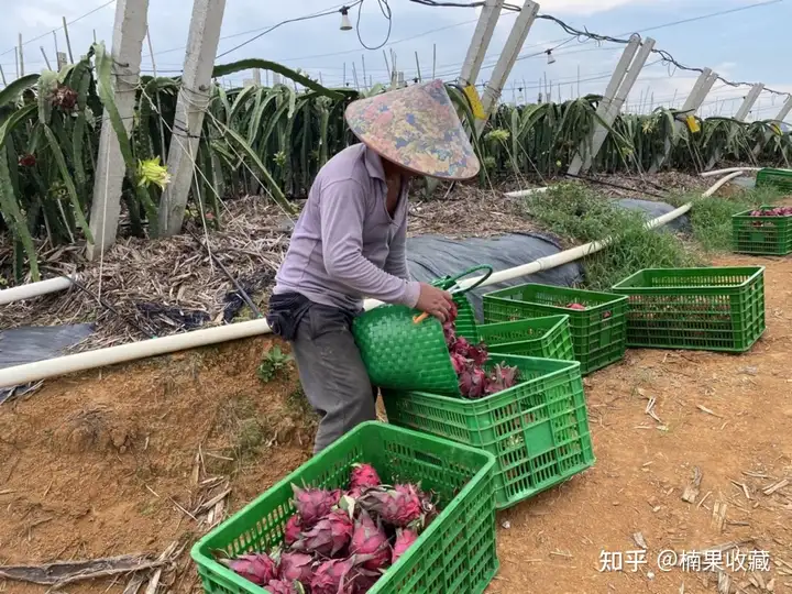 如何轻资产批量孵化三农直播带货账号?