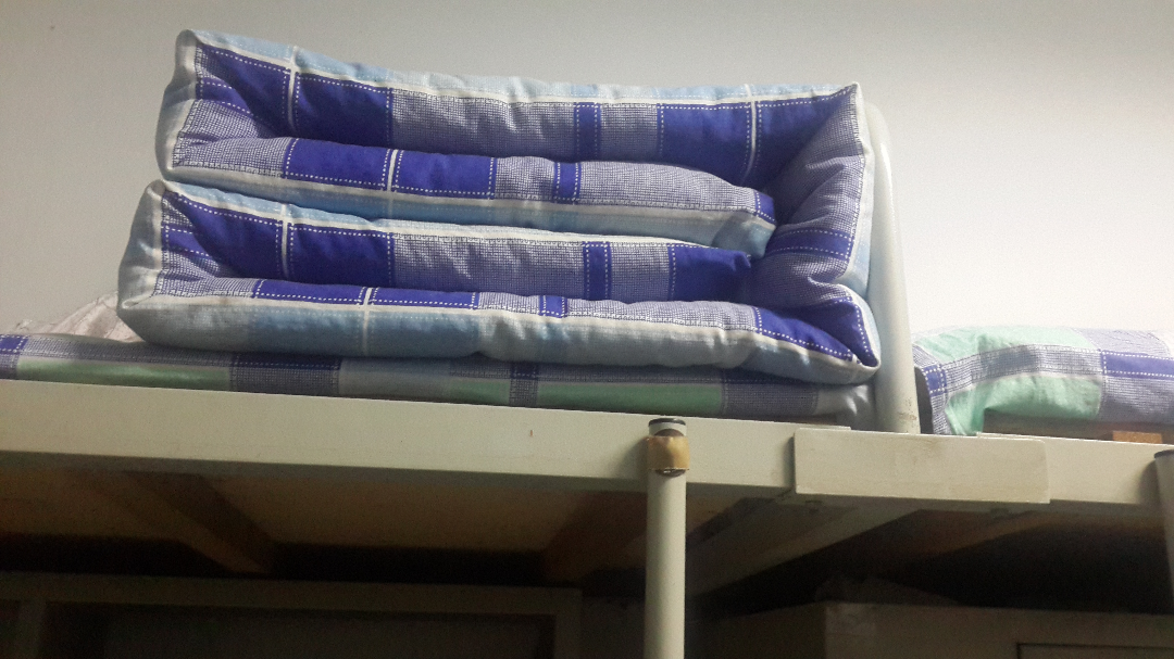 如何评价山东师范大学