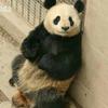 王文剑