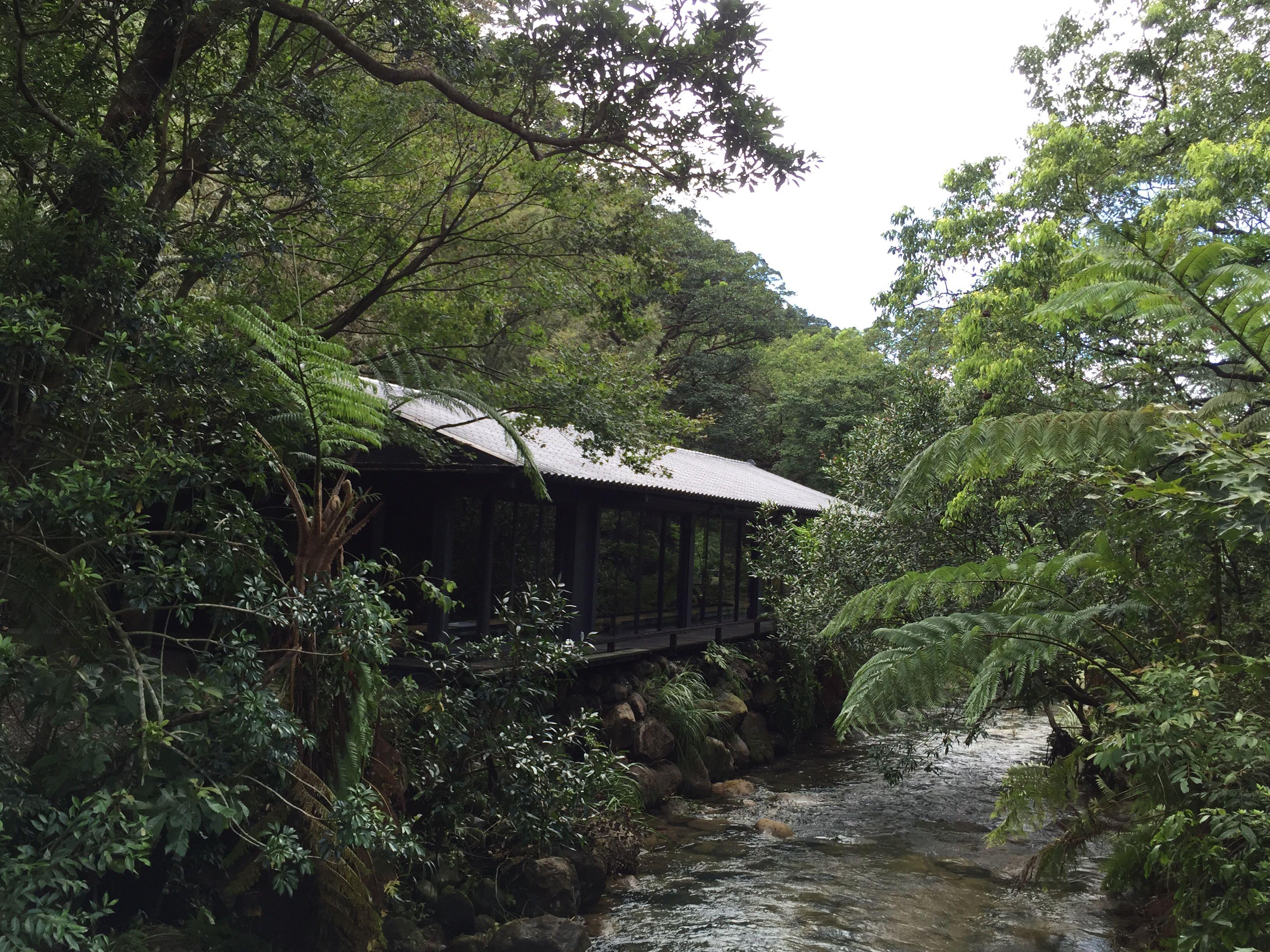 台湾食养山房有木有去过的人啊有木有推荐的行程如果去那边用午餐这