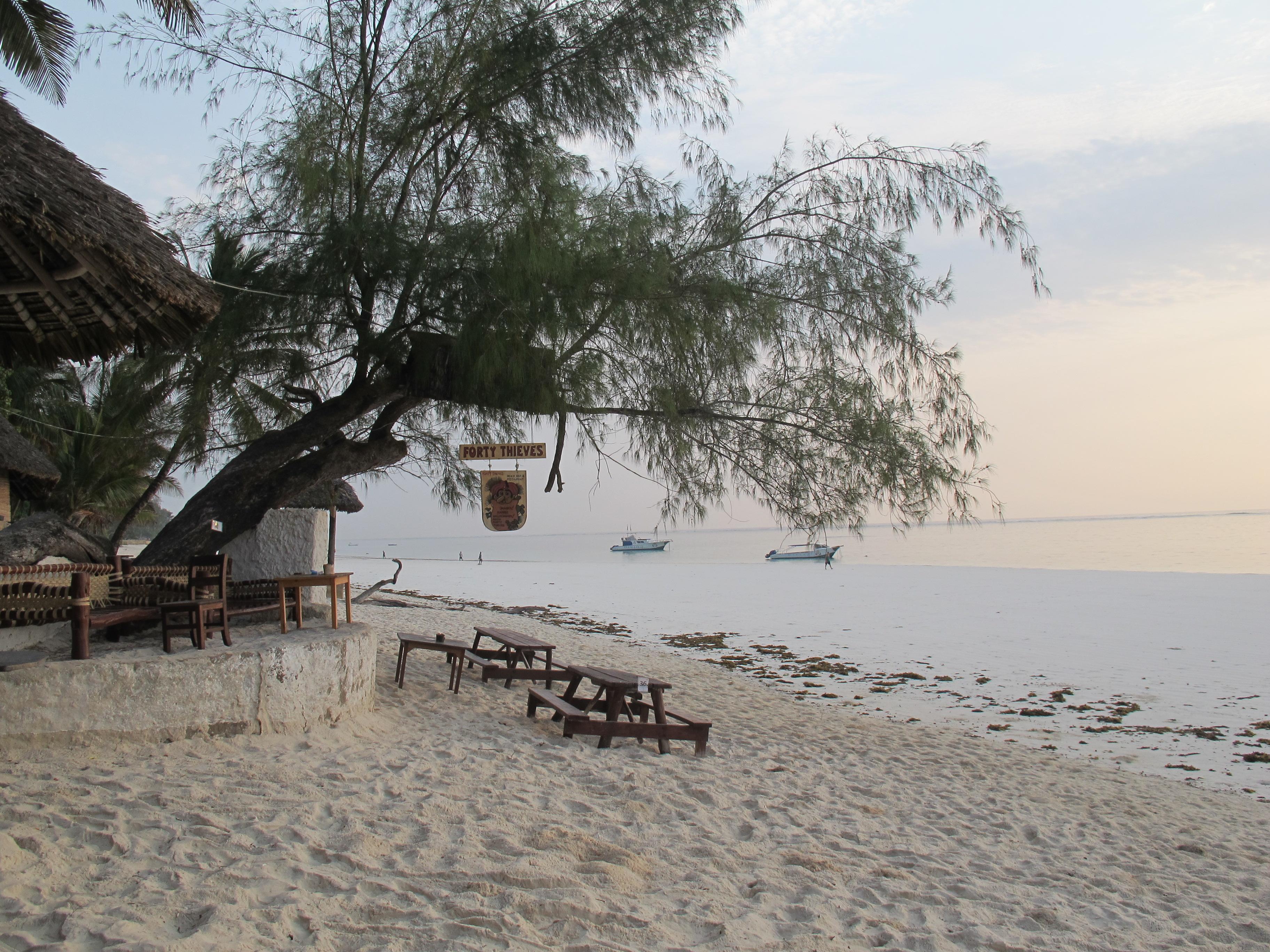 到非洲旅行带 8 岁小朋友同行有哪些需要注意的事项?