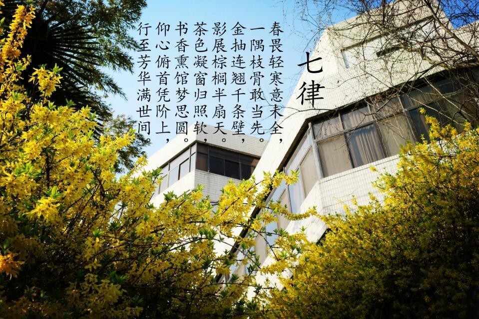 南京財經大學紅山學院整體水平怎麼樣啊