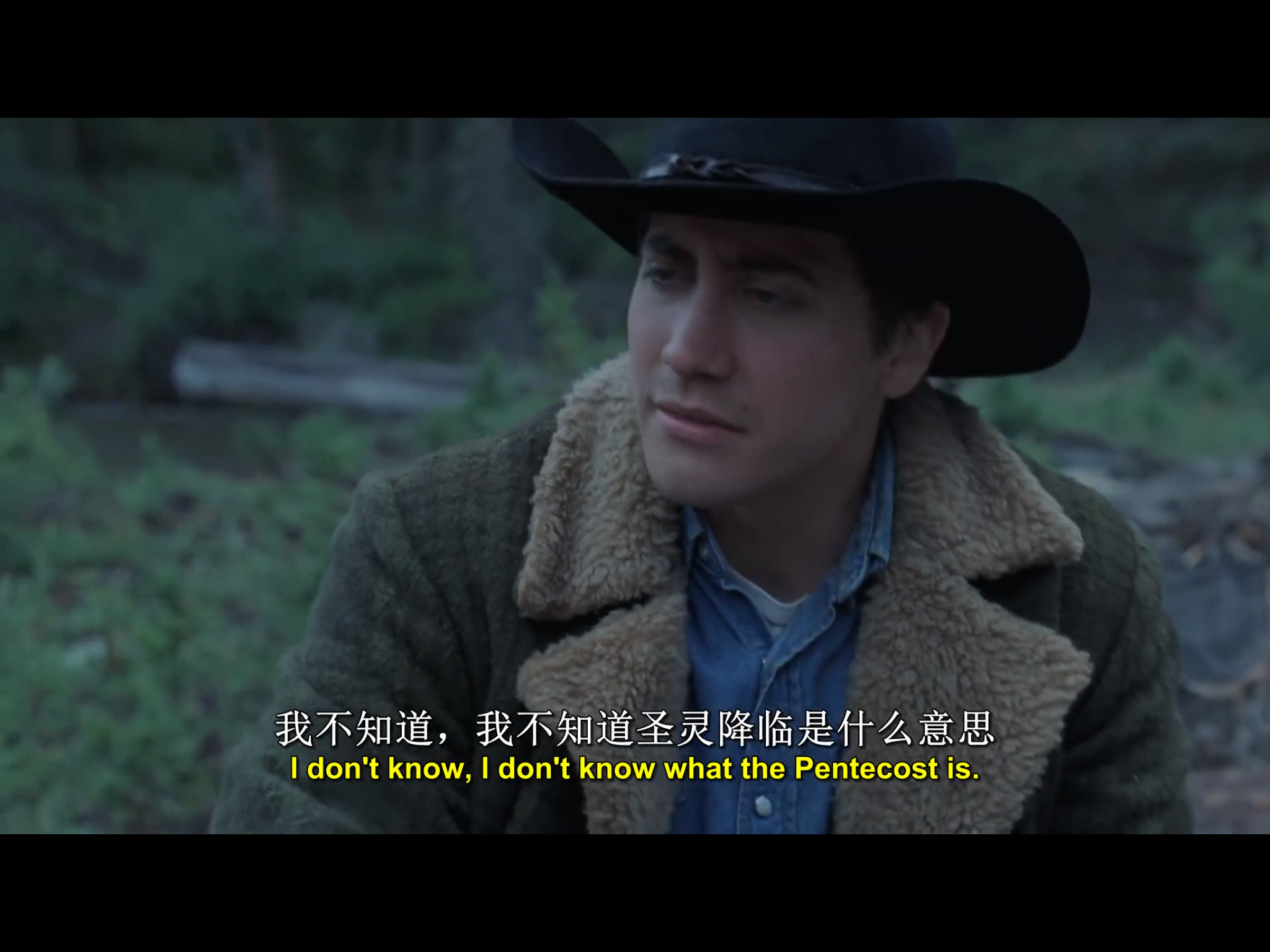 看过断背山后你有什么感触