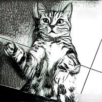 Zhihu profile picture for @LLL