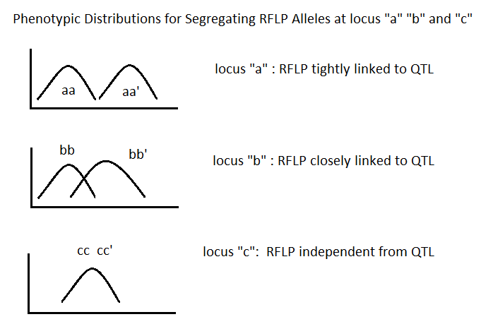 很多领域的研究用到的分子生物学的QTL（数量性状位点）定位其基本原理和算法是什么呢？ - 知乎