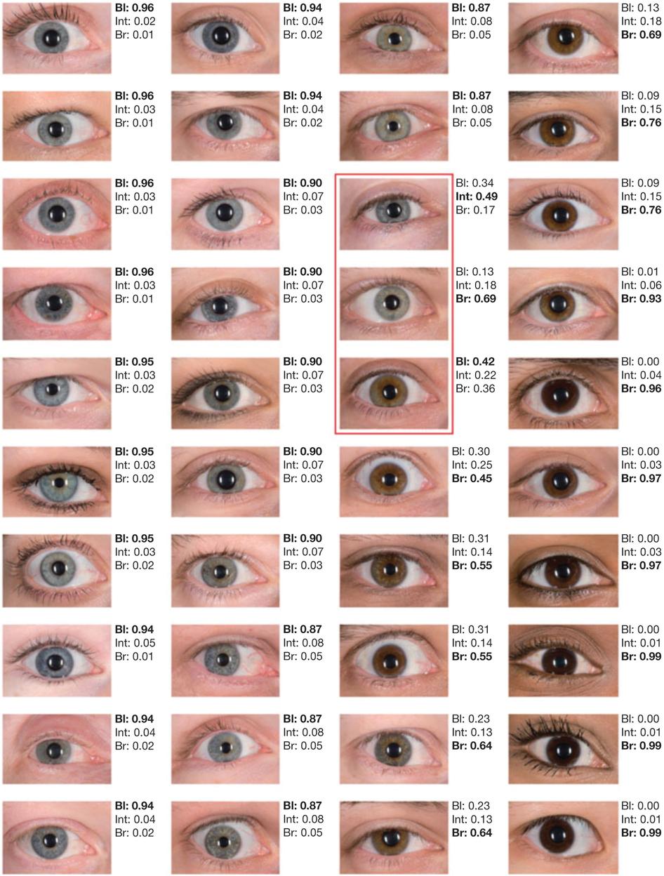 为什么中国人的眼睛是乍看像黑色的棕色,而西方人眼睛的颜色很多?