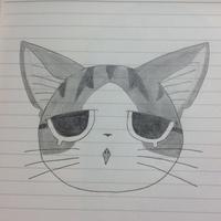 Zhihu profile picture for @flew
