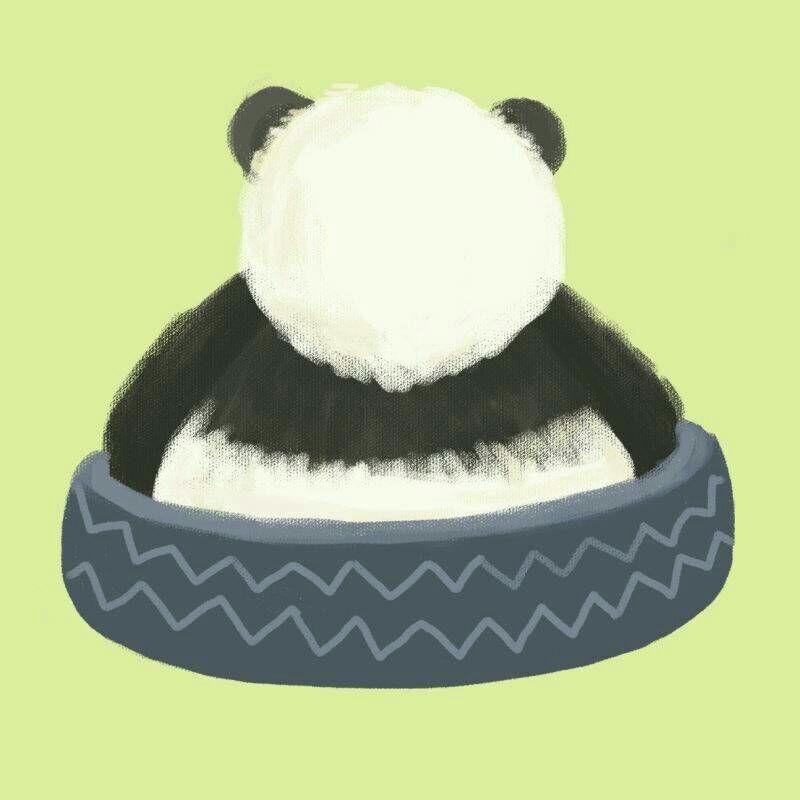 你有哪些熊猫背影的萌图