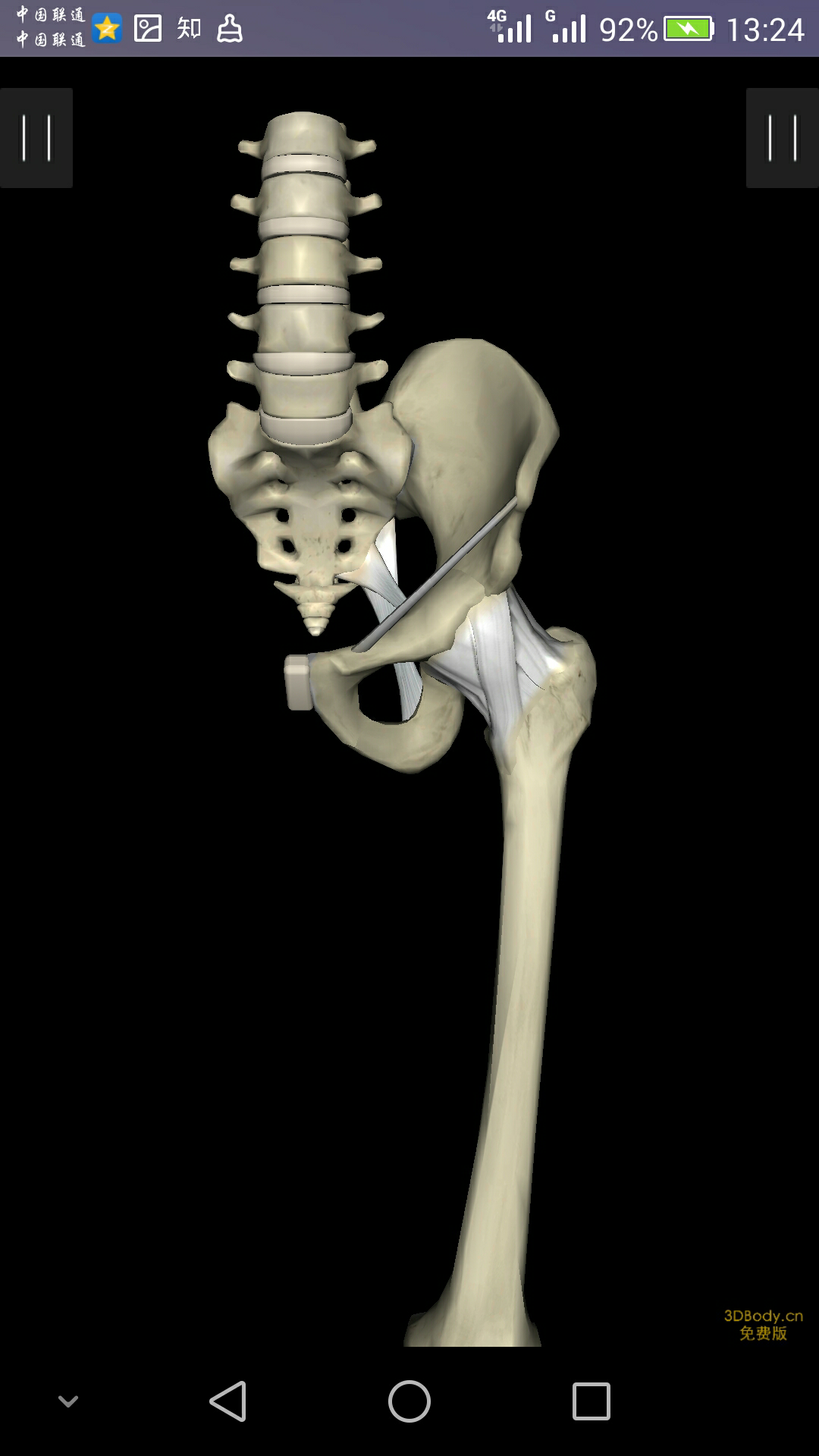 图4-1 髋骨(内面观)-骨科临床解剖学-医学