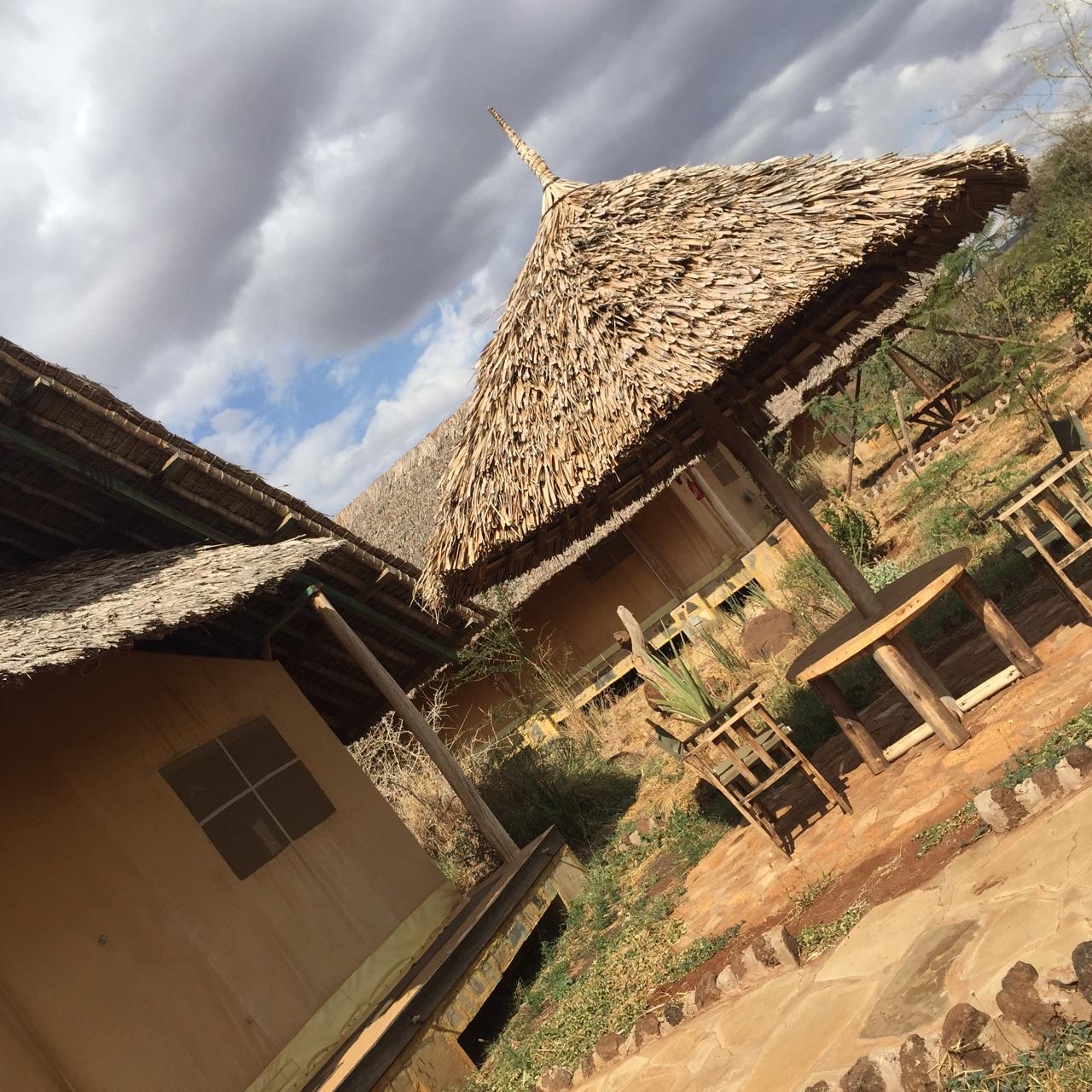 去肯尼亚旅行是一种什么体验?