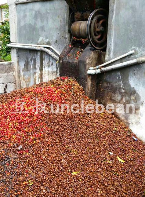 苏门答腊湿刨法是什么