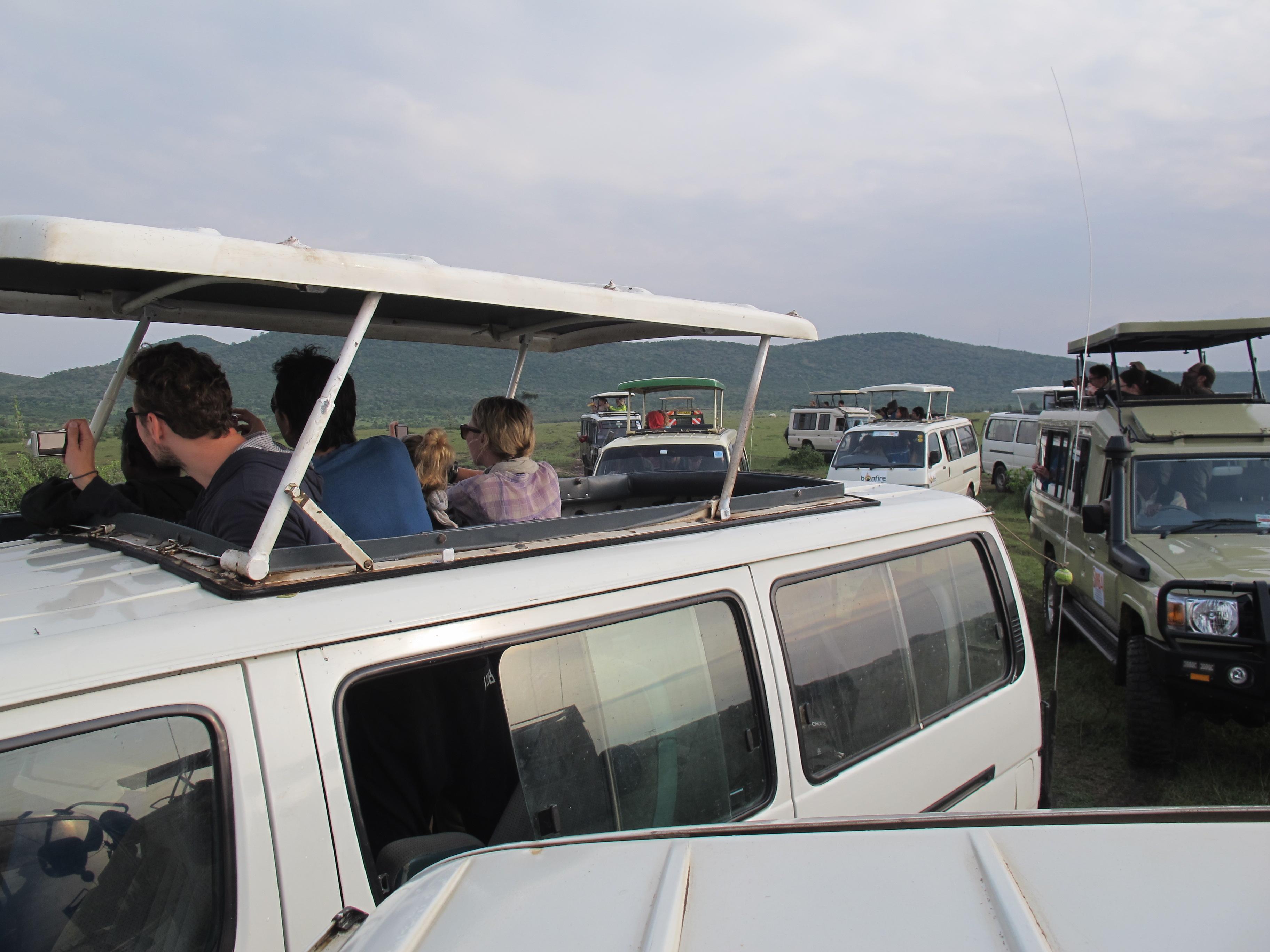 到非洲旅行带 8 岁小朋友同行有哪些需要注意的事项?