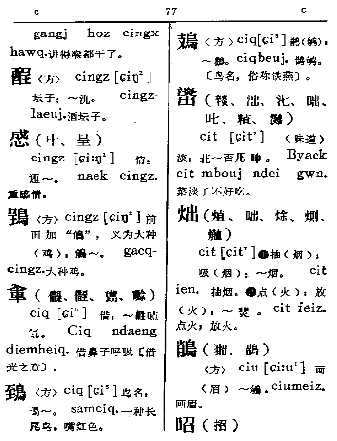 汉字之外还有其他华夏文字吗? - 知乎