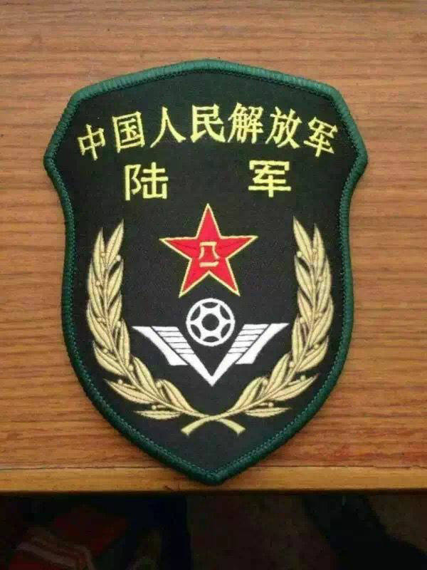 解放军陆军胸标图片