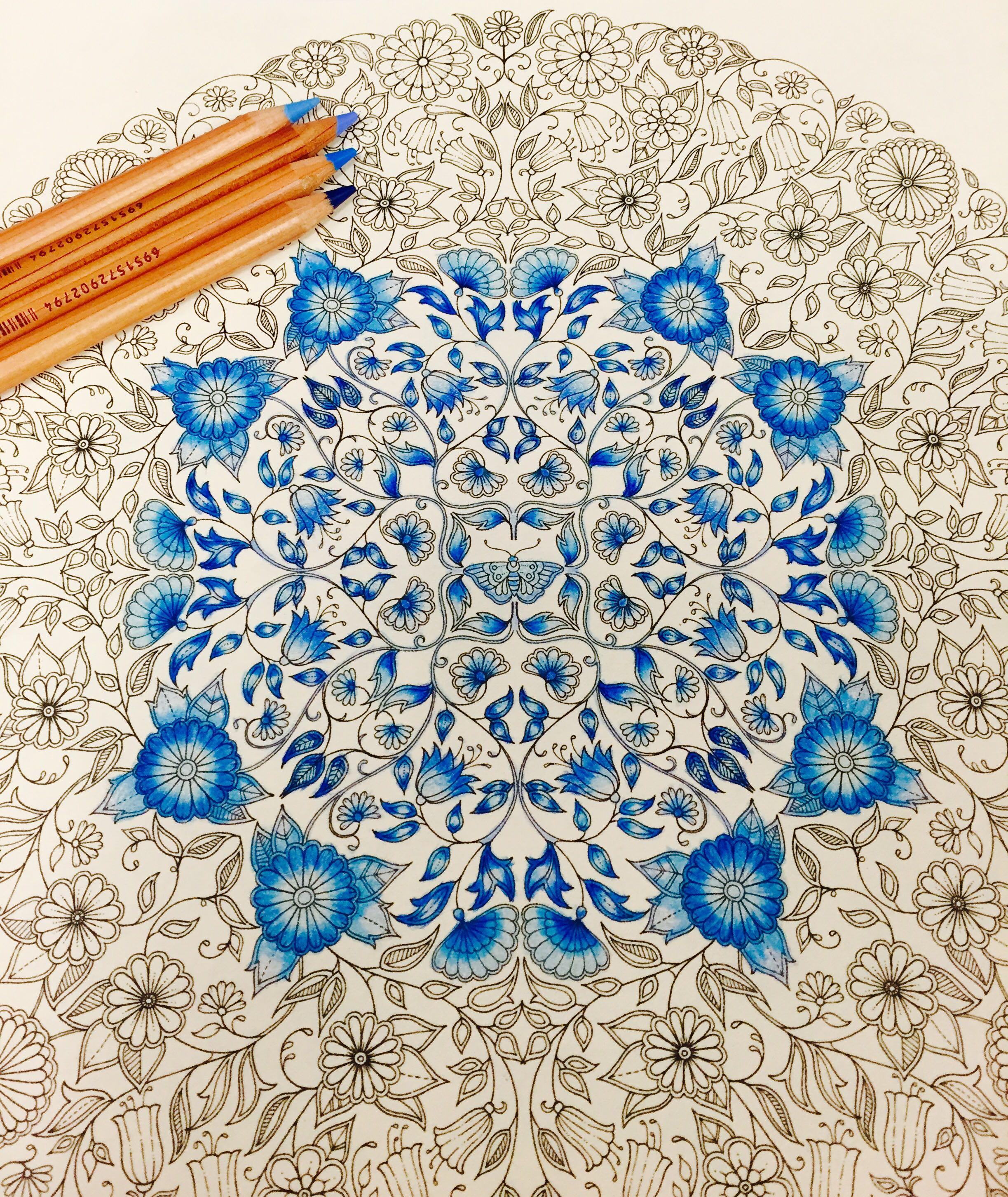 可以分享一下自己在秘密花园的涂色作品吗