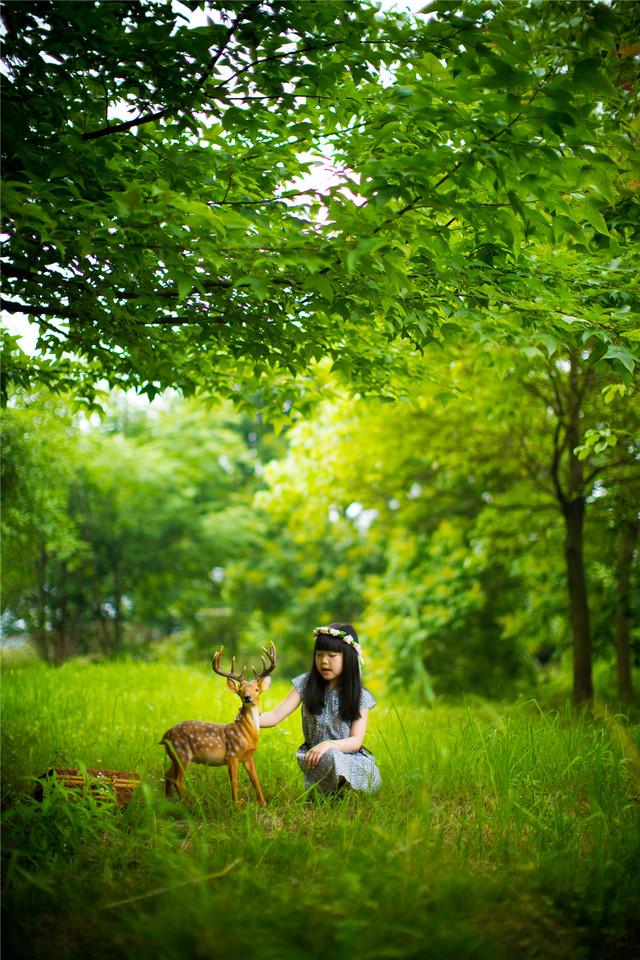 一张壁纸有一个麋鹿和一个女孩的图片