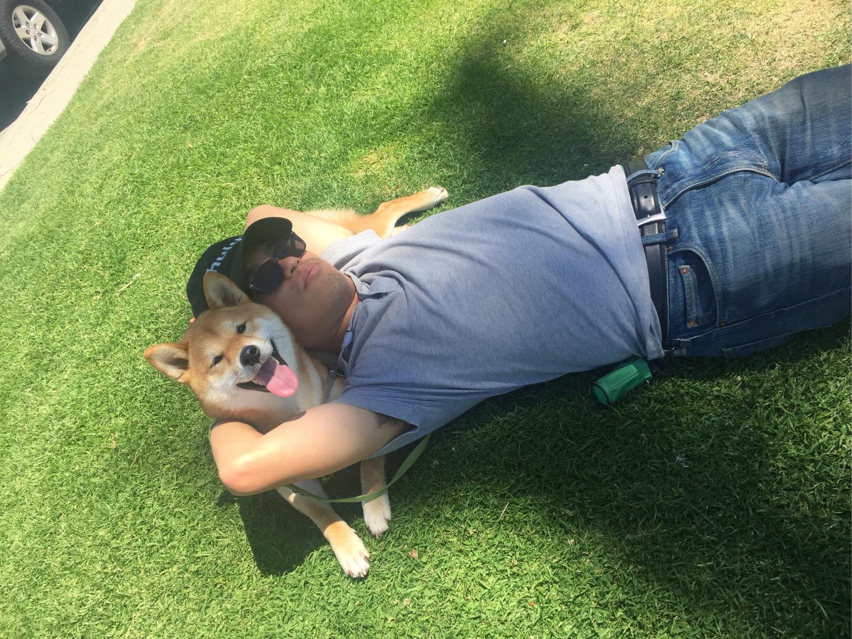 如何优雅地与宠物合照