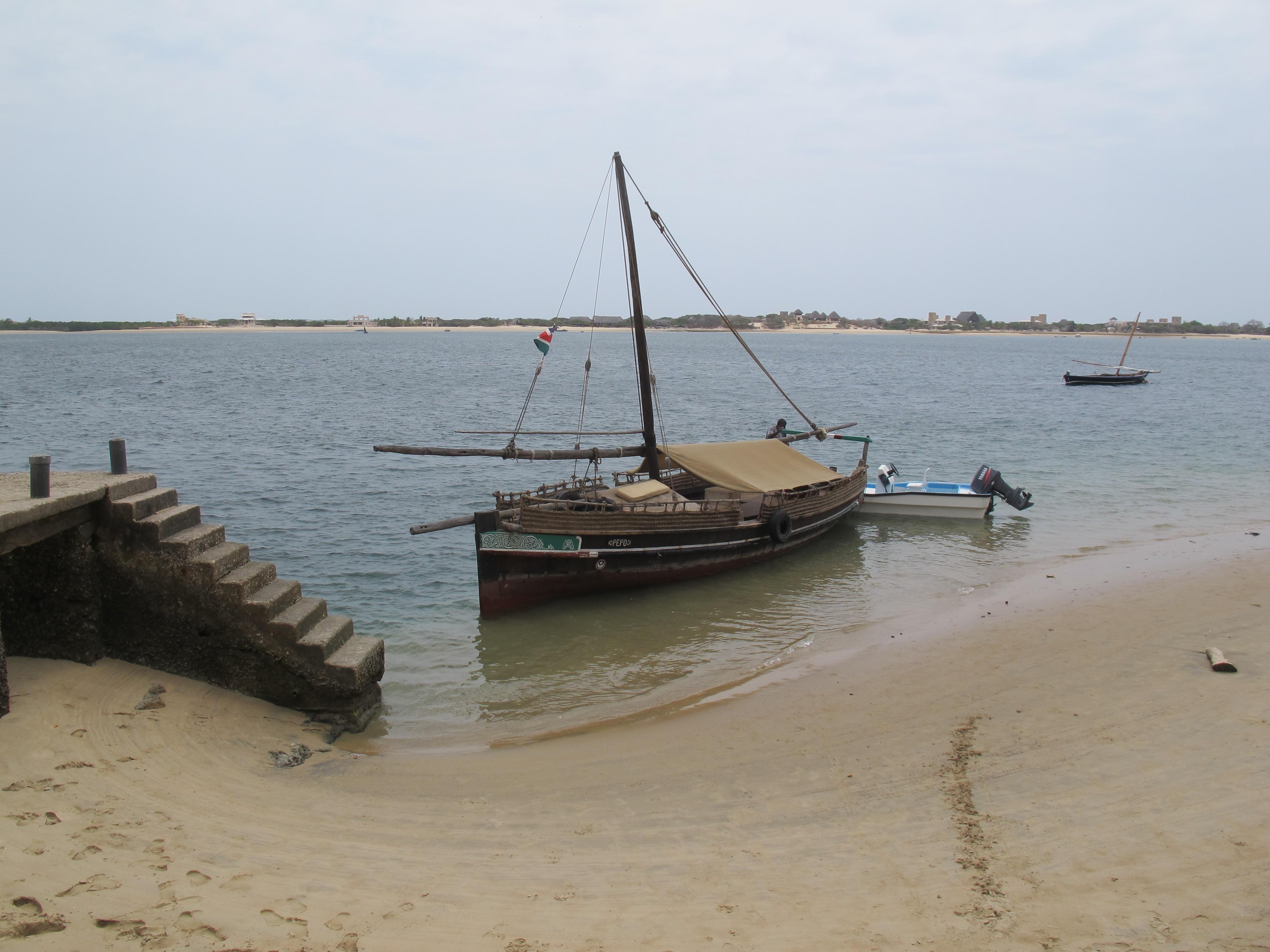 到非洲旅行带 8 岁小朋友同行有哪些需要注意的事项?