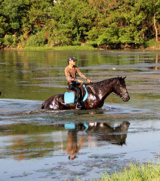 会骑马是一种怎样的体验