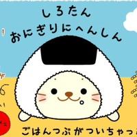 Zhihu profile picture for @sandi