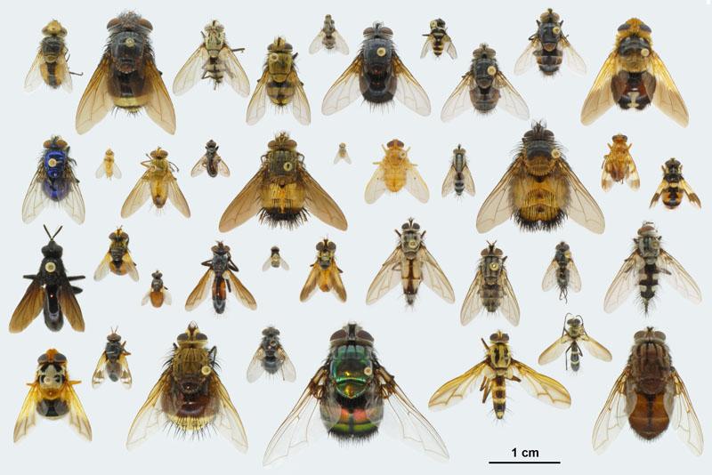 松山采集笔记（1） - 知乎