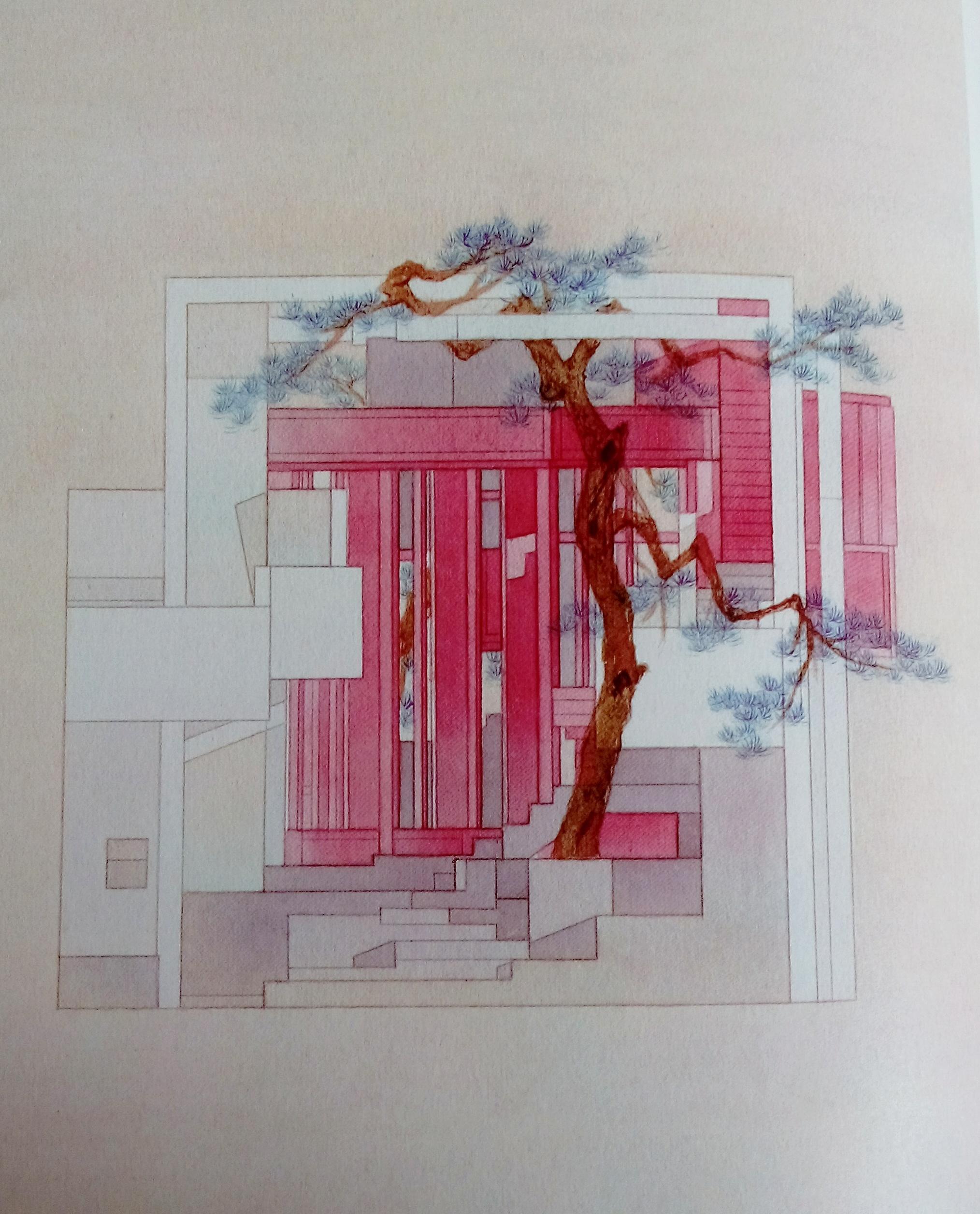 如何看待王欣的乌有园实验?