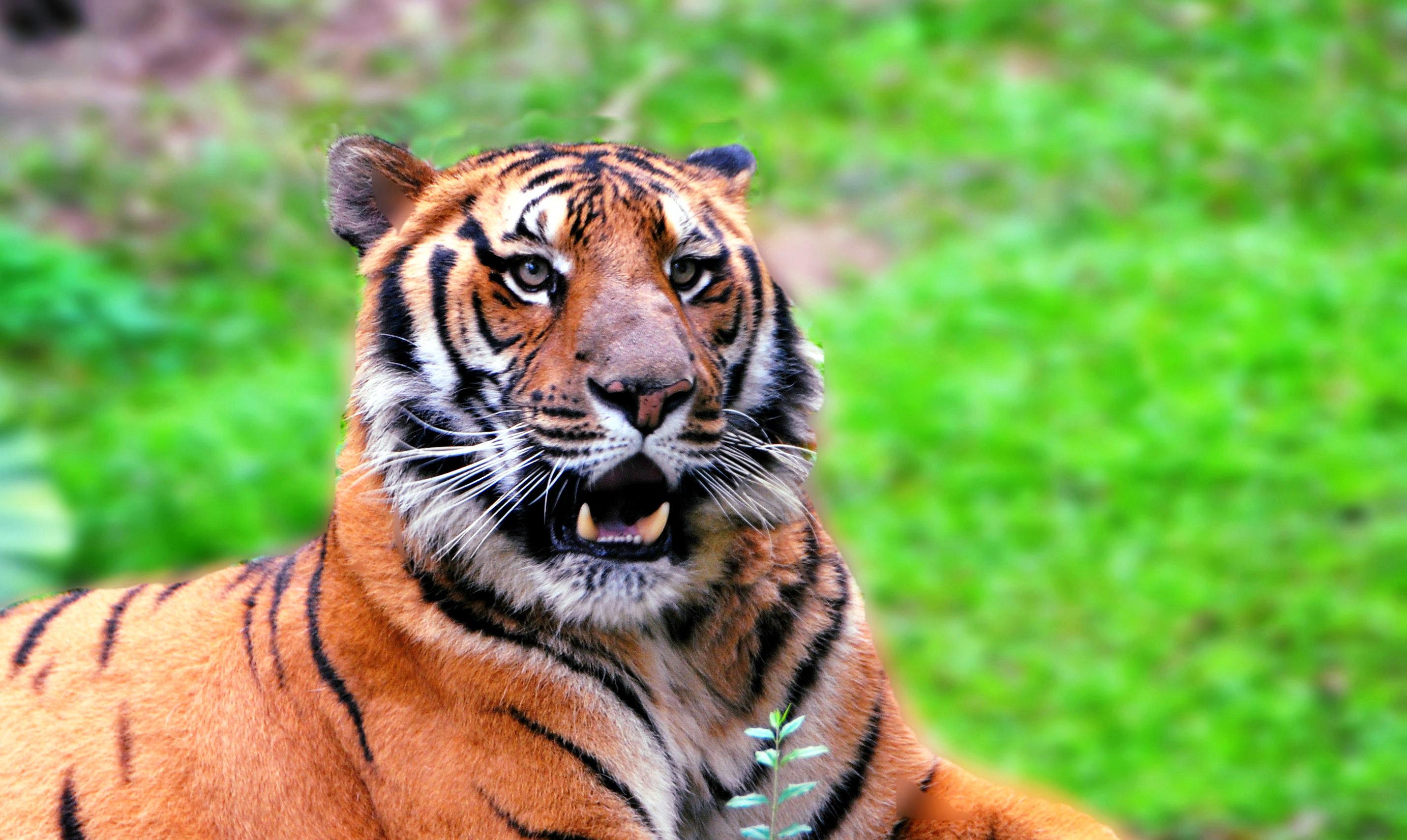 唐僧在两界山遇到的猎户到底厉不厉害?