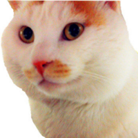 Zhihu profile picture for @silhouette