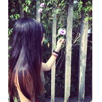 Zhihu profile picture for @solange