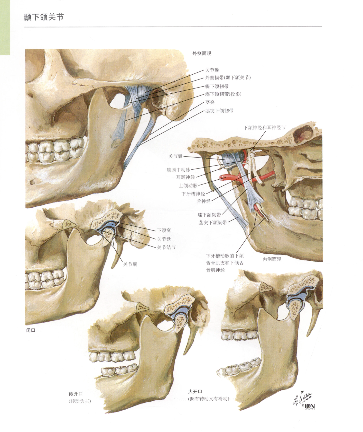 老婆查出颞合关节紊乱张嘴吃东西就疼说话多也疼医院
