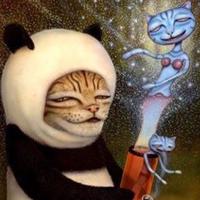 Zhihu profile picture for @said