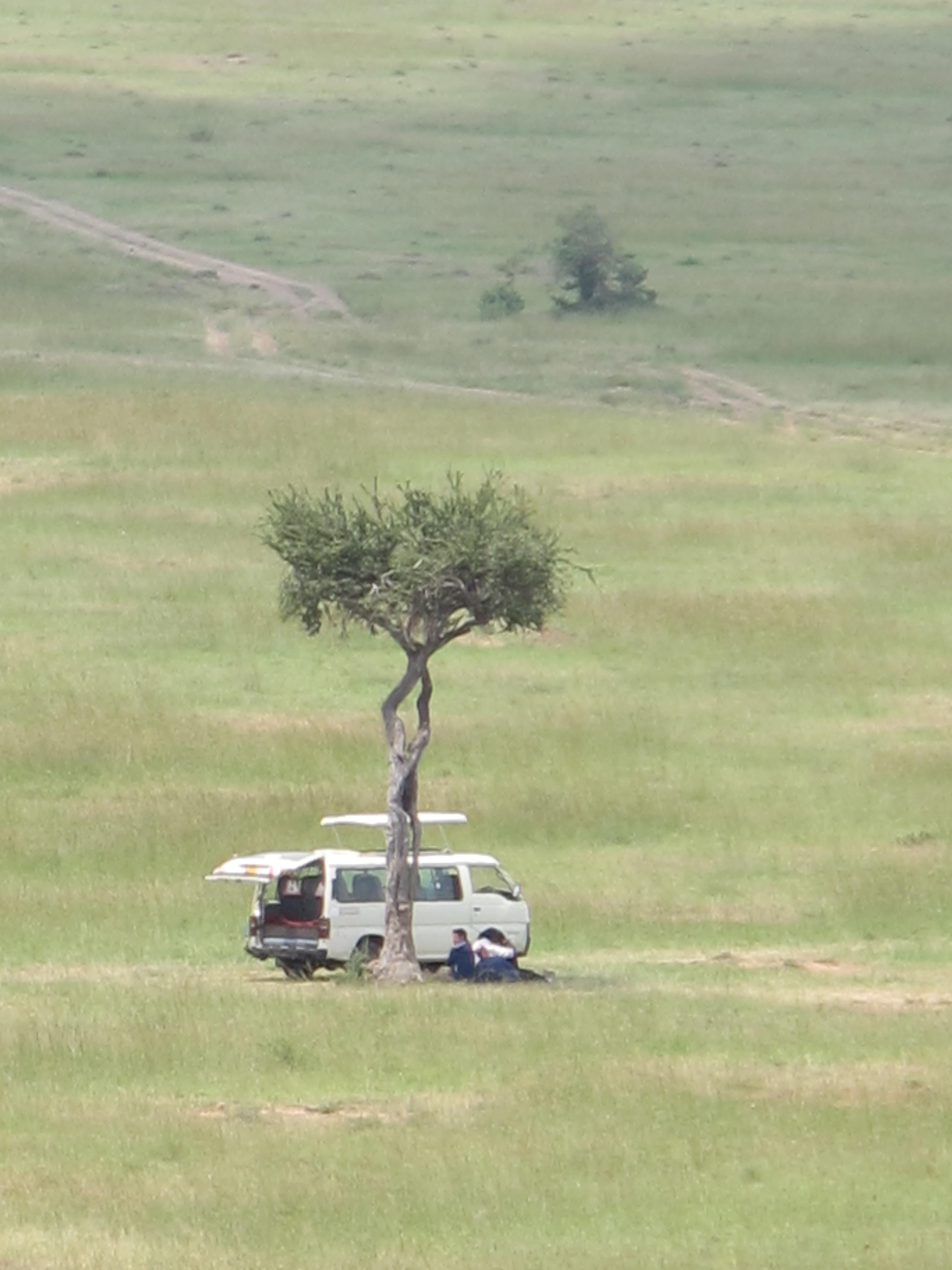 到非洲旅行带 8 岁小朋友同行有哪些需要注意的事项?